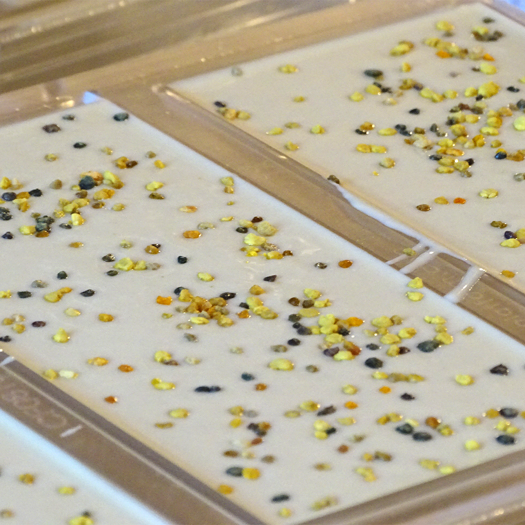 Specialty Bar: Bee Pollen + White Chocolate